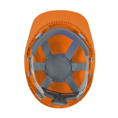 ŠALMAS MORION ORANGE