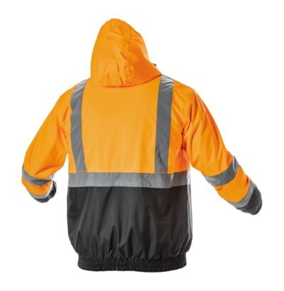 Vasarinė signalinė stirukė NIMS