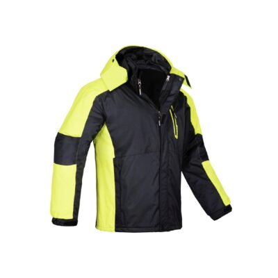 Pašiltinta striukė su gobtuvu 3-IN-1 ASPEN